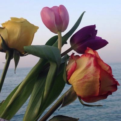 يا رب سخر لنا من حظوظ الدنيا ماتعلم انه خير لنا ♥. ” ابتسموا ﻓ نحن امہ ابتسامتہآ صدقہ،،،، كٌن جميلاً ترى الوجودٌ جميلاً