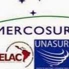 Cámara Nacional de Empresarios y Comerciantes para el Desarrollo del Mercosur, Unasur, ALBA y Petrocaribe