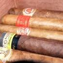 Gotigahhs's profile picture. 