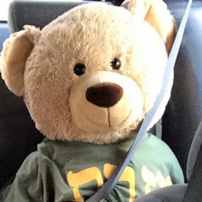 Official Alex Stuff twitter. Business Manager in Shawreth Mens Club. Tweet me my adventures.