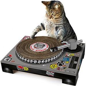 Cat lover, DJ, and music promoter looking to have a little fun in the process.  Hit me up if you have new funky dance tracks.