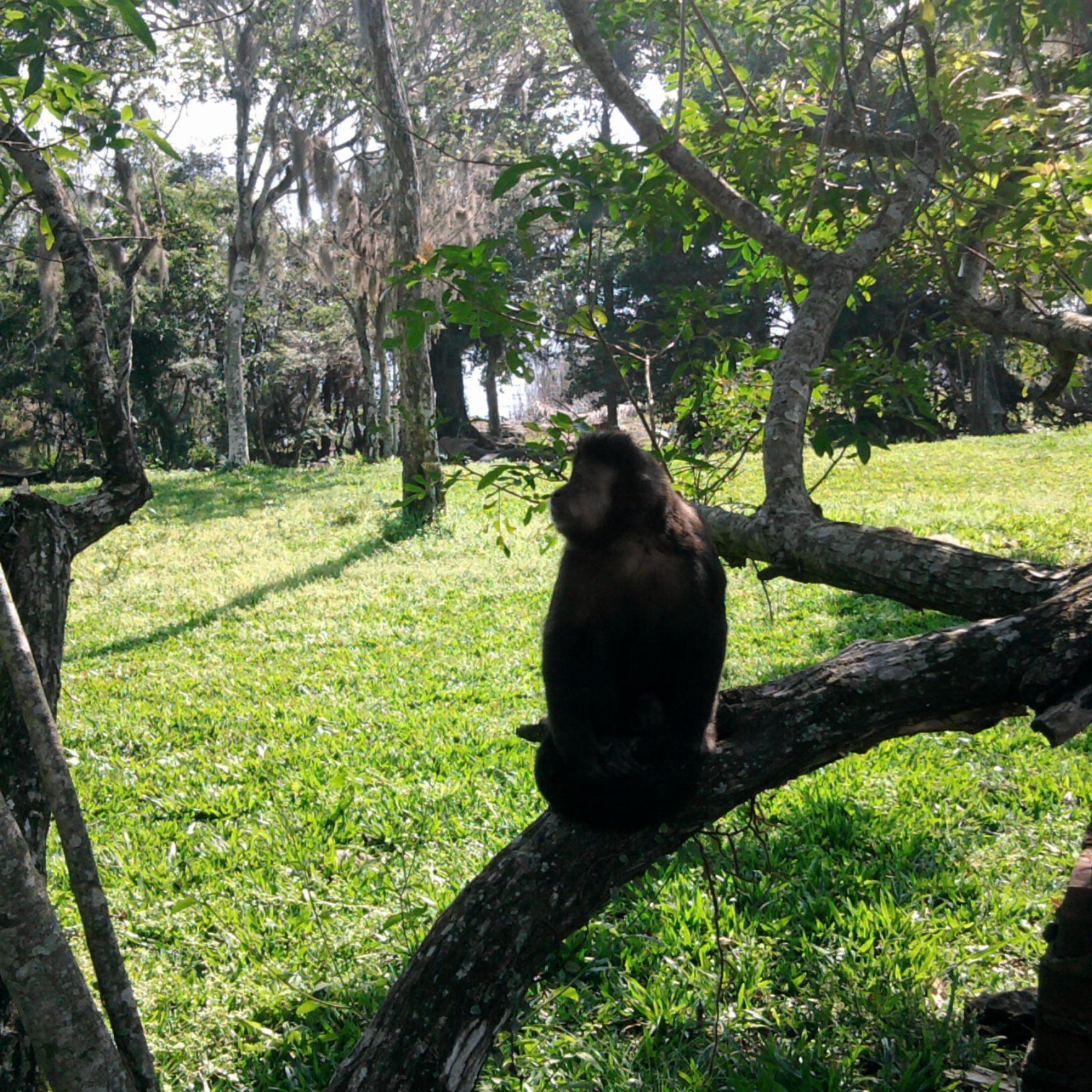 jane_valcareggi's profile picture. 