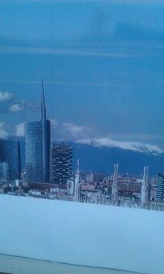 CuiPeppuccio's profile picture. 