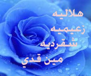 هلاليه كيفي احب الزعيم ::::::::::::::::::::::::::::::الشقردية