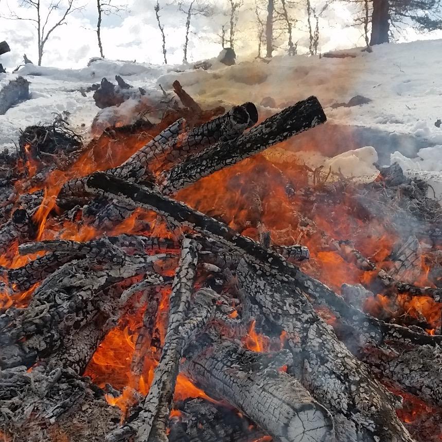 The Fire Ecology Institute is an annual full week experience for educators to investigate wildfire and how to engage students in this burning topic.