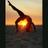 krysten_nieves's profile image