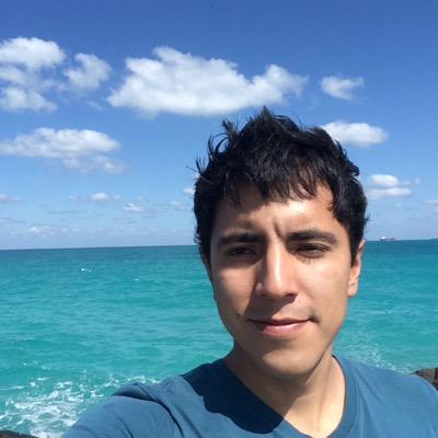 Enamorado, poeta y loco ... Ahhh y programador