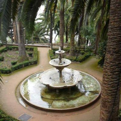 RafaPlaceta's profile picture. Pasear, leer y Granada.