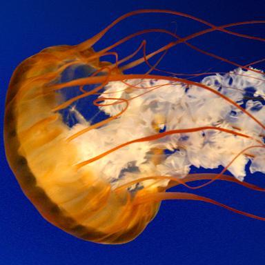 TeodoreTs's profile picture. 