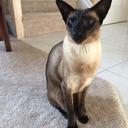 Gail Walden - @drumz61 - Twitter