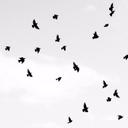 τωєєτy (@050_zozi) Twitter