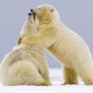 ONU_crush's profile picture. All things handsome and beautiful at Ohio Northern. We are not affiliated in any way with Ohio Northern University.