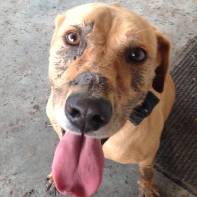 ddsouthtx's profile picture. 