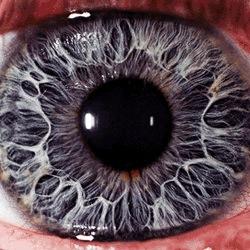 Fk5p0's profile picture. Homo homini lupus est.