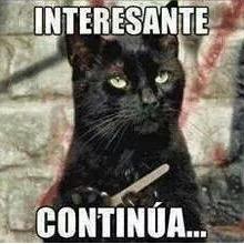 Piloto de motos de velocidad por gusto, psicólogo para pagar las cuentas, amante del sarcasmo y el humor negro.