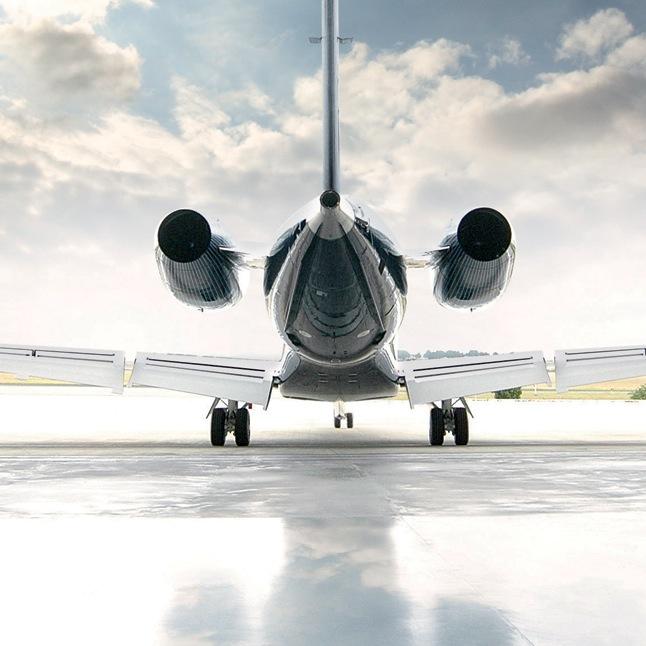 OnlyBiboo's profile picture. 