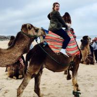 Sarah Waskom (@swaskom) 's Twitter Profile