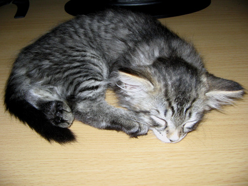 Joze101's profile picture. 