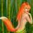 foxxx_sv's profile image