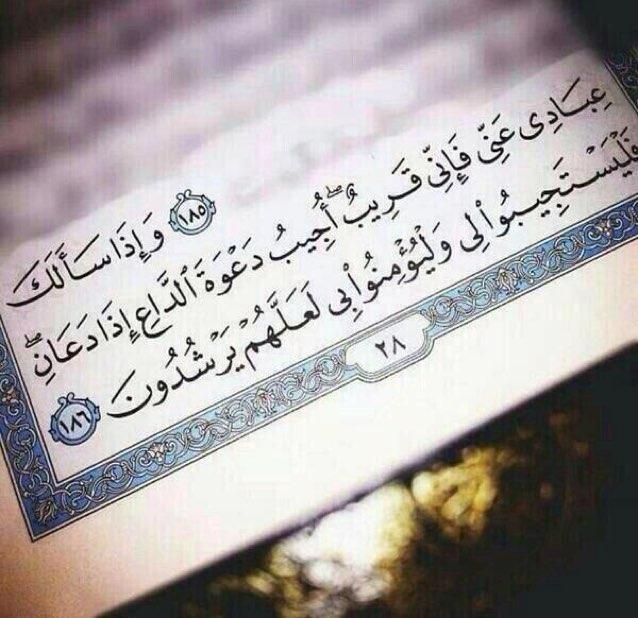 كلمتان خفيفتان على اللسان ثقيلتان في الميزان حبيبتان إلى الرحمن: ♥ سبحان الله و بحمده ♥ سبحان الله العظيم♥