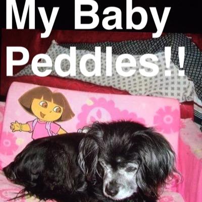 PeddlesmyPuppy's profile picture. 