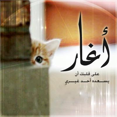 ﴿ ﷽ ﴾ ﴿إِنَّ اللَّهَ وَمَلَائِكَتَهُ يُصَلُّونَ عَلَى النَّبِيِّ يَا أَيُّهَا الَّذِينَ آَمَنُوا صَلُّوا عَلَيْهِ وَسَلِّمُوا تَسْلِيمًا﴾
ﷺ