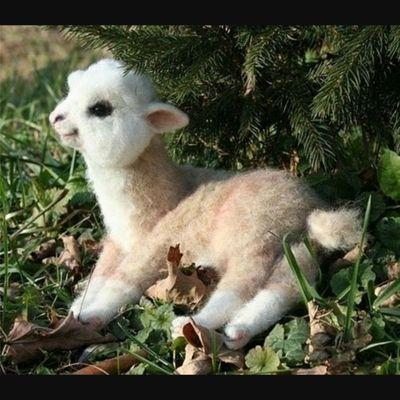 OMGMAGCONFAN's profile picture. hi...