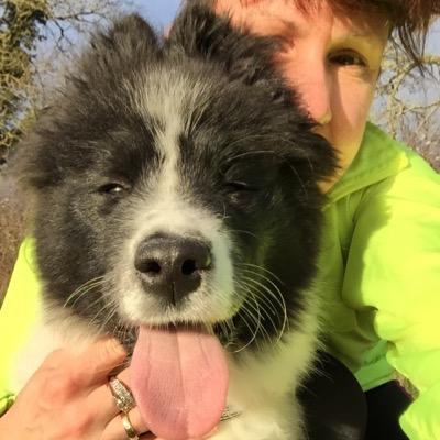 ipadscooby's profile picture. 