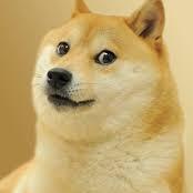 Wow. Much Science