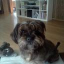 Lisa Ahearn - @lisaahearn81 - Twitter