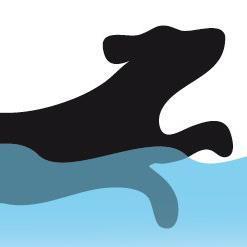 Aquanimaux est un centre de balnéo animale qui propose différentes activités dans les domaines de l'exercice physique et du bien-être à destination des animaux