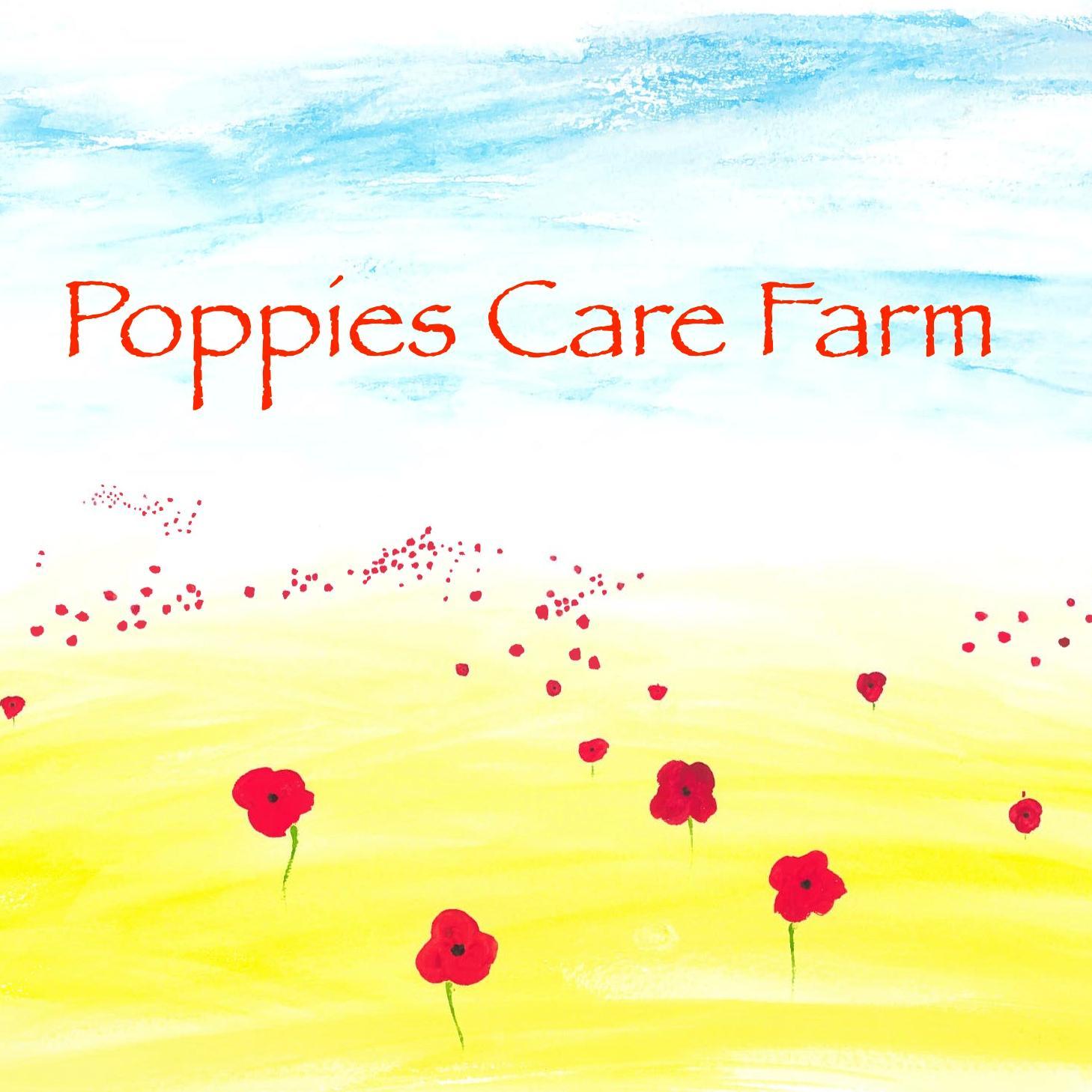 We are a small care farm on the outskirts of Ipswich providing day care services for people with learning disabilities