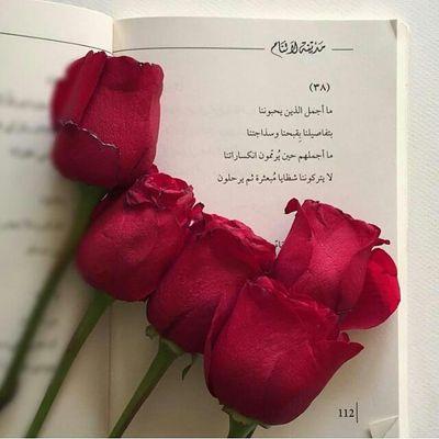 فتاة لا تعرف المستحيل وليس لها معين إلا الله( داوم على الاستغفار)