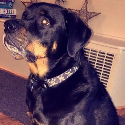 My name tuck im that nigga livin that OG lifestyle. Fuckin bitches and gettin money. DOllA DOllA bills yall