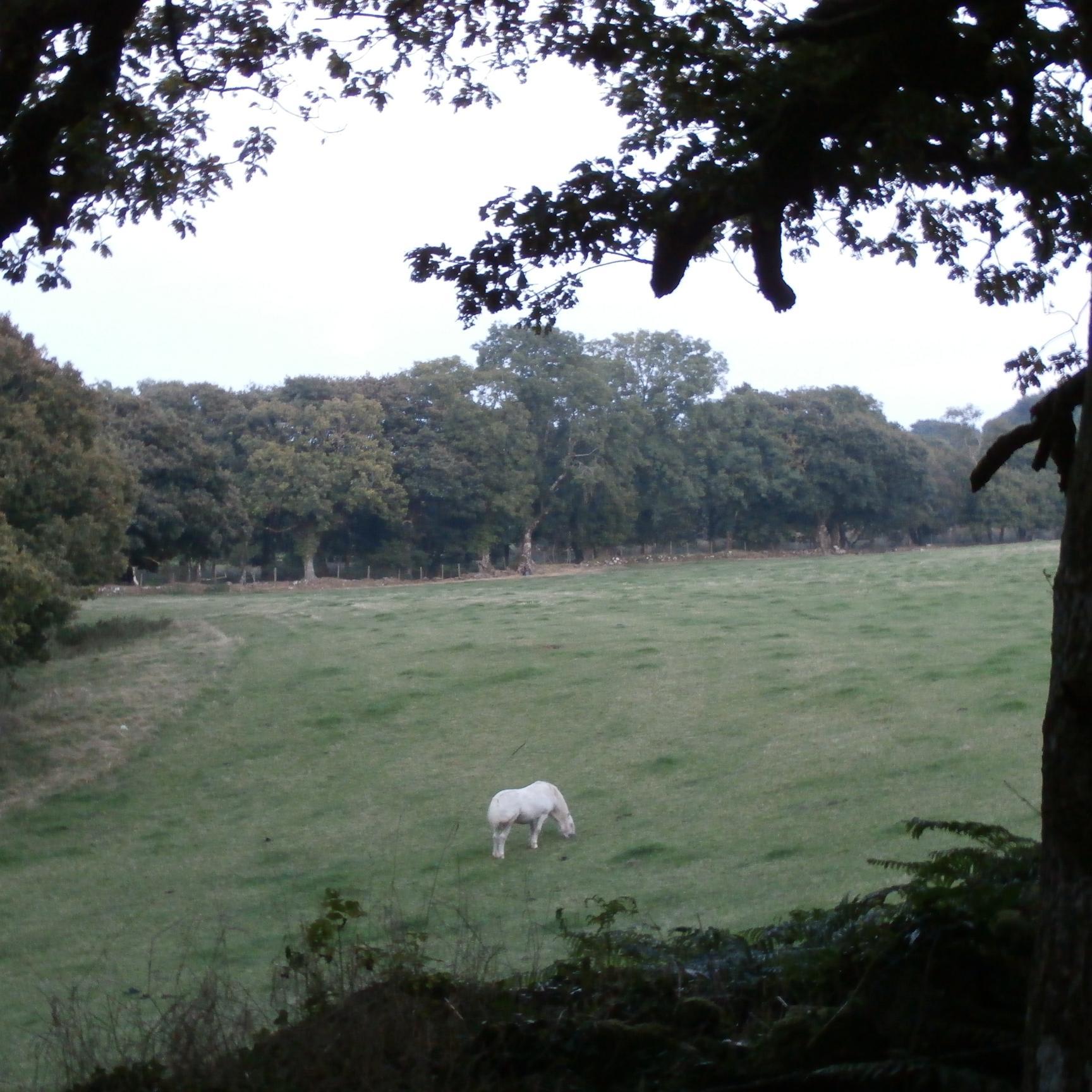 mindfulnesshour's profile picture. Let's talk #mindfulness 7.30 - 8.30pm GMT every Monday #MindfulMonday