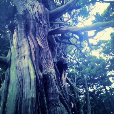 空見て笑って 風に流されて 好きなもん食う それでいい