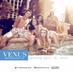 Venus Pool Club (@venuspoolclub) Twitter profile photo
