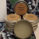 Debra Waters - @HollyWandVine - Twitter