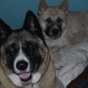 Debra Honaker - @honaker_debra - Twitter