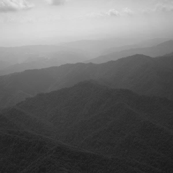 HillsHollowsDoc's profile picture. In the Hills and Hollows is a feature film about fossil fuel extraction in #Appalachia.  https://t.co/I9C2c4cxUc