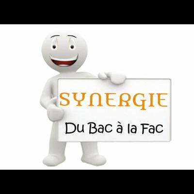 SynergieContact's profile picture. 