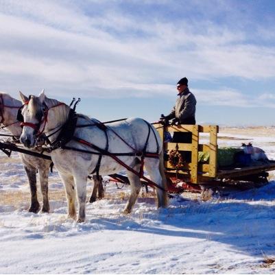 formerlyVP Quantum Genetix. Formerly Target Cattle co practicing retirement pissed atNDP , Liberals ,climate alarmists !! Stamps seasons tics for 40 yrs