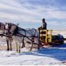 targtj's profile picture. formerlyVP Quantum Genetix. Formerly Target Cattle co practicing retirement pissed atNDP , Liberals ,climate alarmists !! Stamps seasons tics for 40 yrs