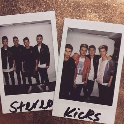 If you're part of the #StereoKicksArmy, you should definitely follow @SKManiaBR