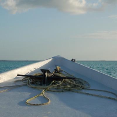 AlePastres's profile picture. 