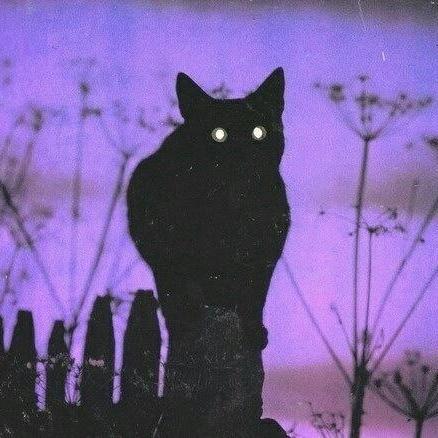 Scout sempre. Jove revolucionària. ∆Ya no soy un cementerio andante∆ •Anarquía es el camino y el objetivo•. Feminismo o barbarie. Traducció UV. Revolta Violeta.