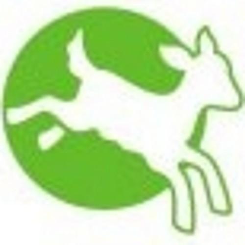 CompassionNF's profile picture. Compassion in the New Forest is a local group for Compassion in world farming. We help campaign to stop factory farming. New members welcome!
