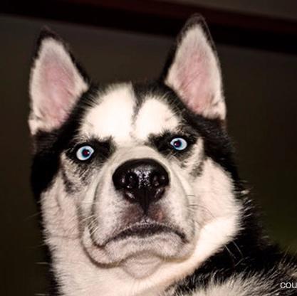 OelweinELP's profile picture. 