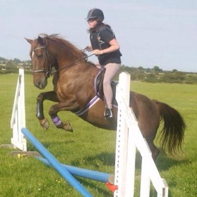 equestrianbobos's profile picture. so many bobos in the equestrian world...
*handpalms face*