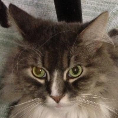 皇紀二六七六年 ー 美しき日本。 「遠すめろぎの かしこくも はじめたまひし おほ大和 天つ日嗣の つぎつぎに 御代しろしめす たふとさよ 仰げば 遠し 皇国の 紀元は 二千六百年」                英霊への感謝を